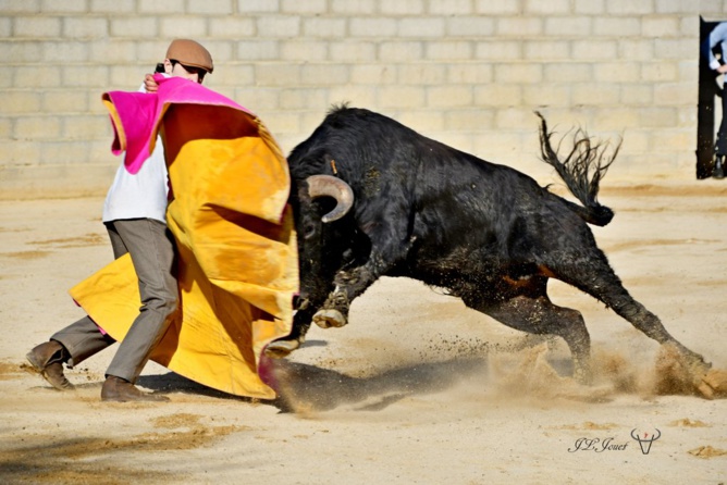 Entraînement au campo sous le soleil de février 2021                                 Entraînement au campo sous le soleil de février 2021