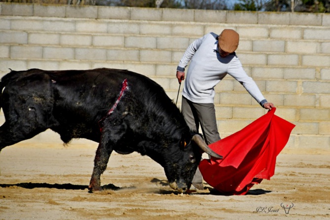 Entraînement au campo sous le soleil de février 2021                                 Entraînement au campo sous le soleil de février 2021