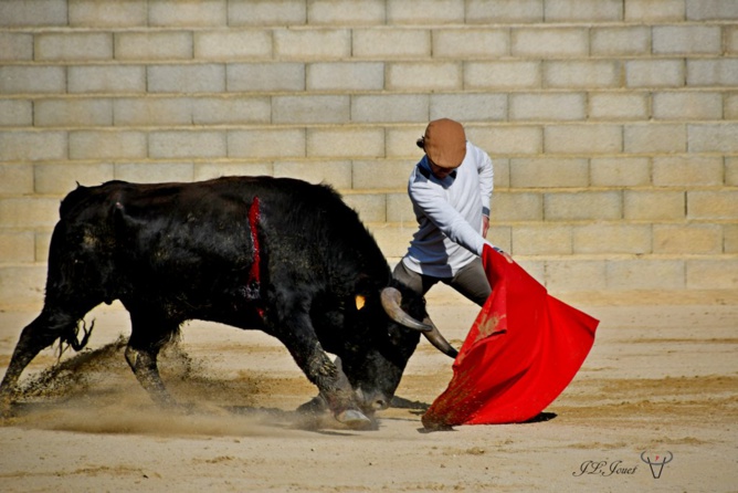 Entraînement au campo sous le soleil de février 2021                                 Entraînement au campo sous le soleil de février 2021