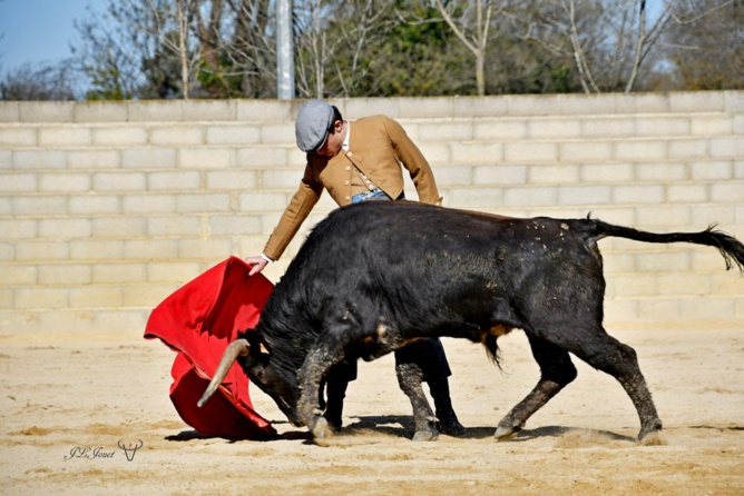 Entraînement au campo sous le soleil de février 2021                                 Entraînement au campo sous le soleil de février 2021
