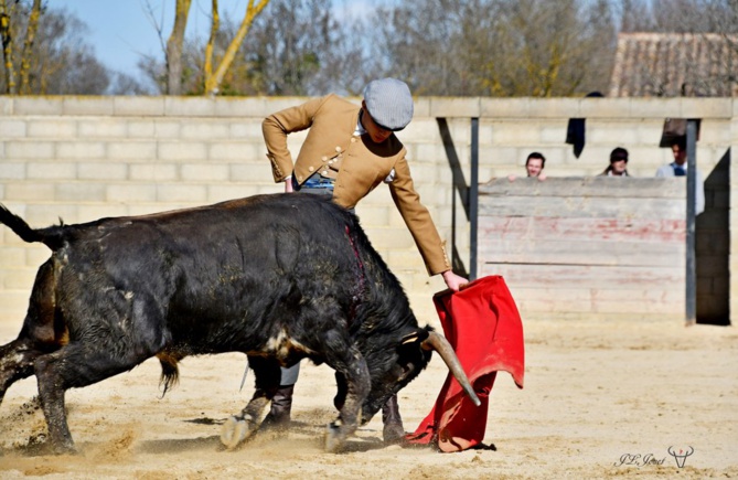 Entraînement au campo sous le soleil de février 2021                                 Entraînement au campo sous le soleil de février 2021