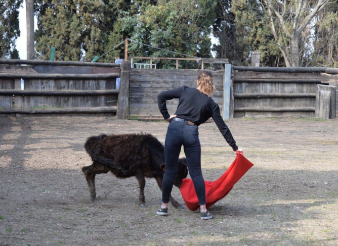 Encore un entraînement pour nos Minots Toreros