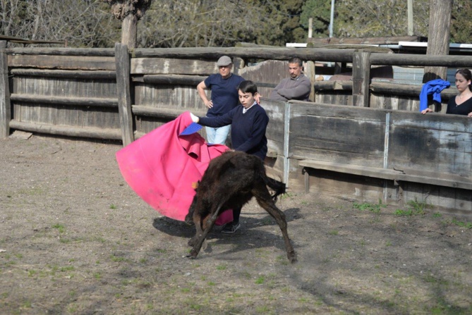 Encore un entraînement pour nos Minots Toreros