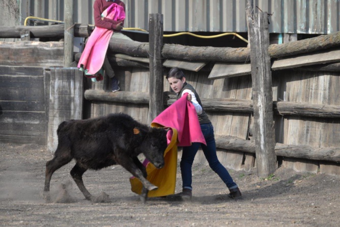 Encore un entraînement pour nos Minots Toreros