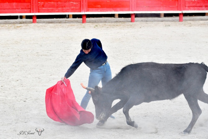 Entrainement intensif au CFT Entrainement intensif au CFT