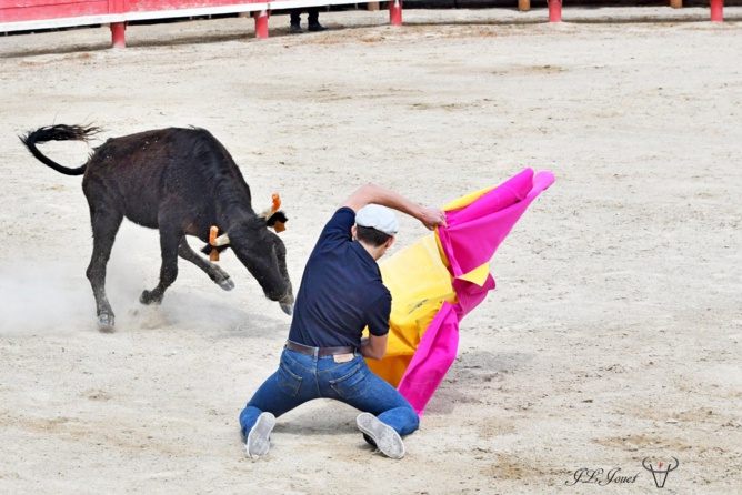 Entrainement intensif au CFT Entrainement intensif au CFT