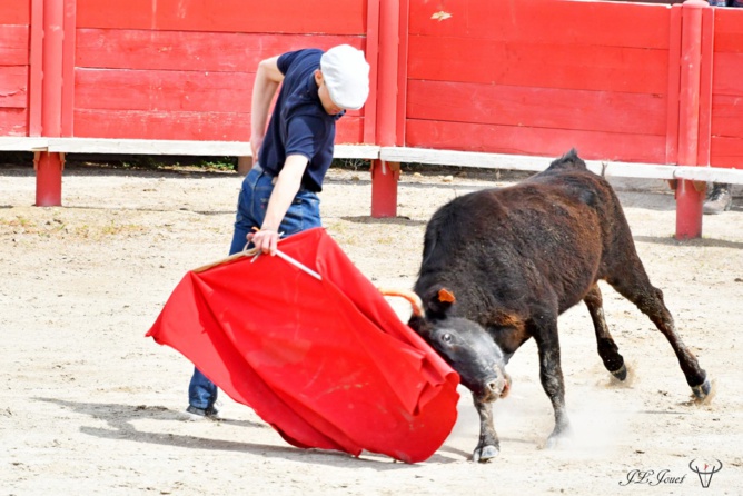 Entrainement intensif au CFT Entrainement intensif au CFT