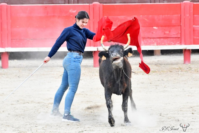 Entrainement intensif au CFT Entrainement intensif au CFT