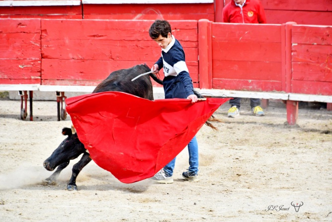 Entrainement intensif au CFT Entrainement intensif au CFT