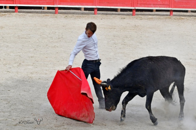 Entrainement intensif au CFT Entrainement intensif au CFT