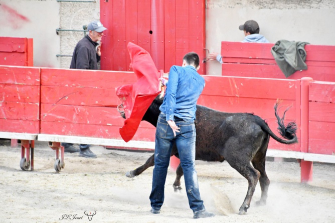 Entrainement intensif au CFT Entrainement intensif au CFT