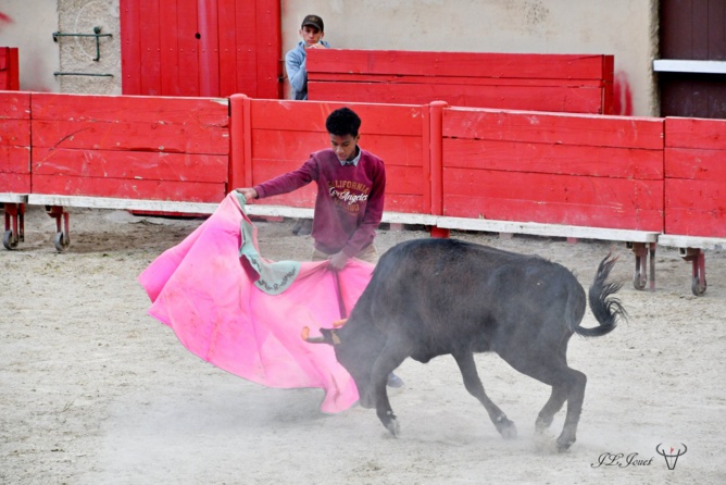 Entrainement intensif au CFT Entrainement intensif au CFT