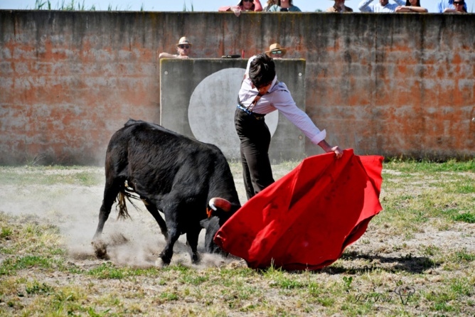 Rafael PDL