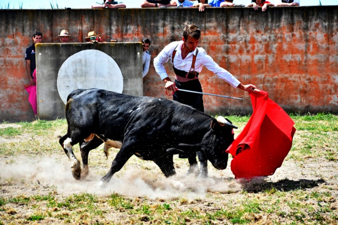 Canten
