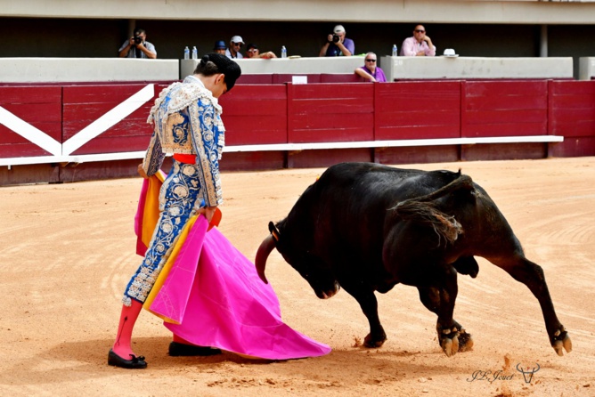 Chronique d'une occasion manquée. Chronique d'une occasion manquée.