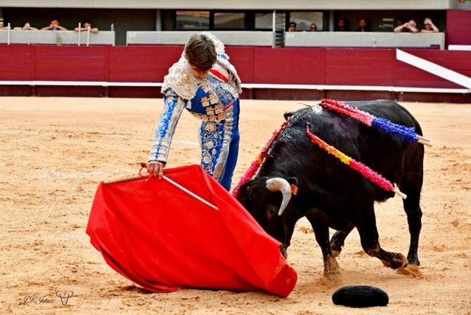 Chronique d'une occasion manquée. Chronique d'une occasion manquée.