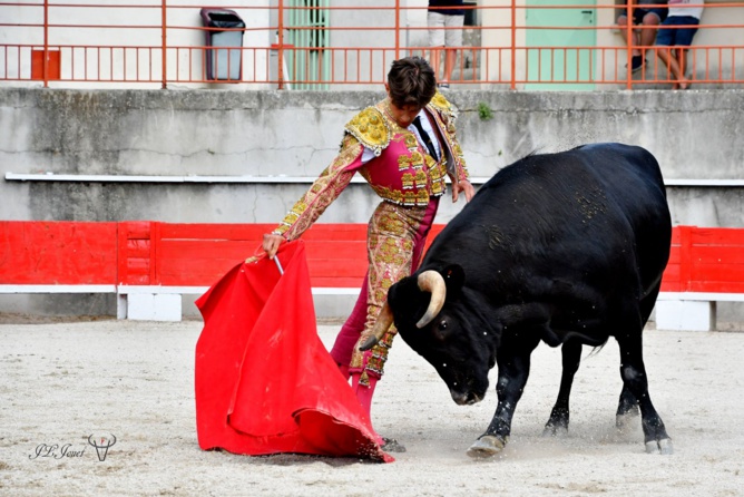 Rafael PDL Rafael PDL