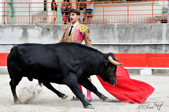 Rafael PDL Rafael PDL