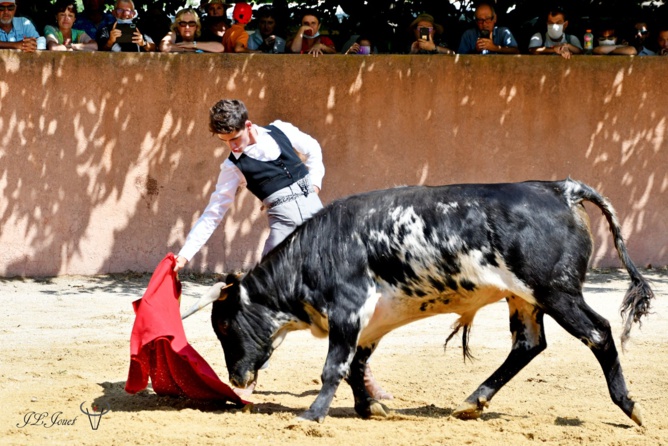 Manuel FUENTES