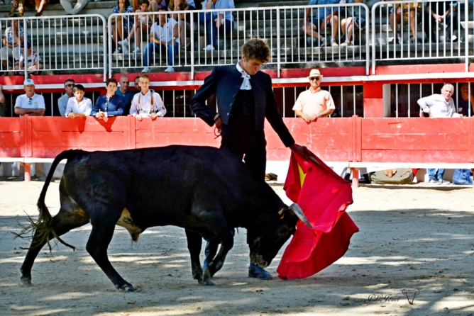 FINITO de NÎMES