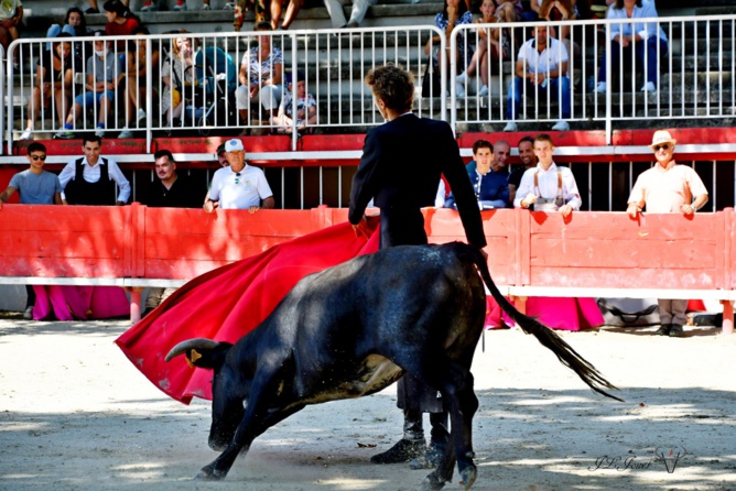 FINITO de NÎMES