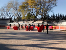 Le Centre Français de Tauromachie, une école qui n'a peur de rien ! Le Centre Français de Tauromachie, une école qui n'a peur de rien !