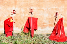 Avance de carteles Avance de carteles