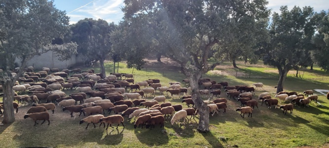 Chronique d'un stage à Salamanca... Chronique d'un stage à Salamanca...