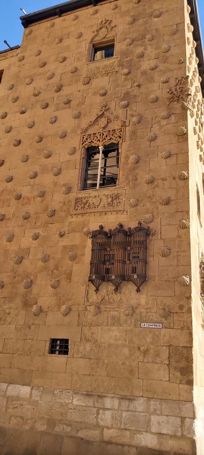 Chronique d'un stage à Salamanca...