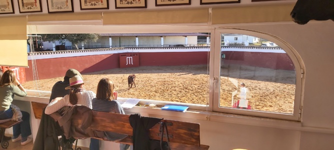 Chronique d'un stage à Salamanca... Chronique d'un stage à Salamanca...