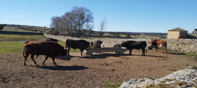 Chronique d'un stage à Salamanca... Chronique d'un stage à Salamanca...