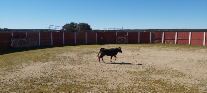 Chronique d'un stage à Salamanca... Chronique d'un stage à Salamanca...