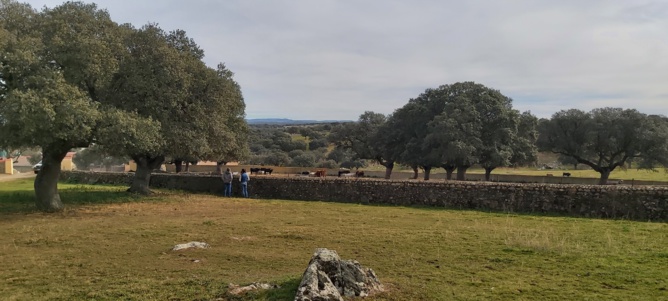 Chronique d'un stage à Salamanca...