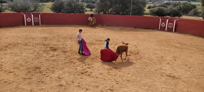 Chronique d'un stage à Salamanca...