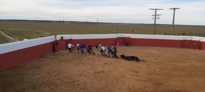 Chronique d'un stage à Salamanca... Chronique d'un stage à Salamanca...