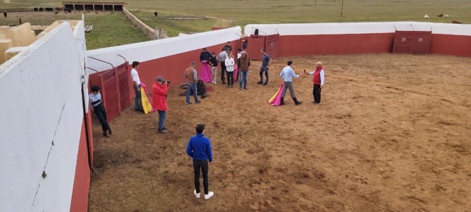 Chronique d'un stage à Salamanca... Chronique d'un stage à Salamanca...