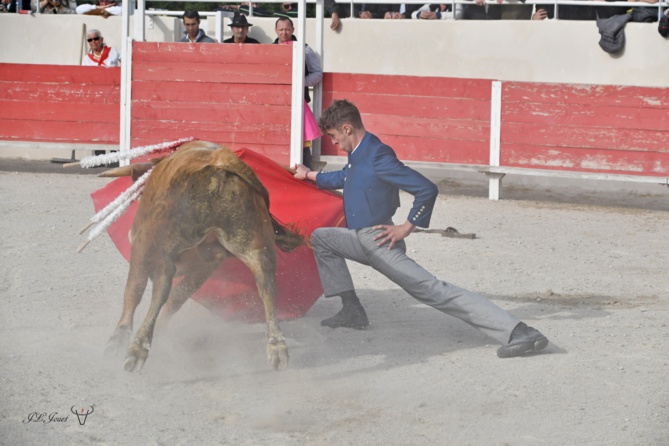 Triomphe de FINITO de NÎMES Triomphe de FINITO de NÎMES