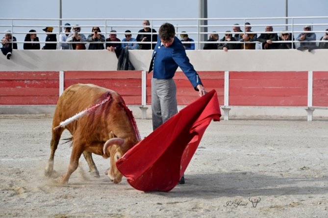 Triomphe de FINITO de NÎMES Triomphe de FINITO de NÎMES
