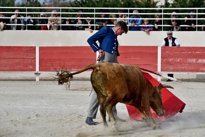 Triomphe de FINITO de NÎMES Triomphe de FINITO de NÎMES