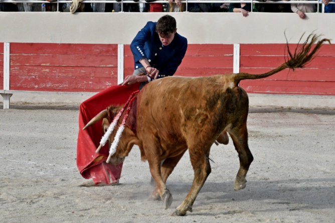Triomphe de FINITO de NÎMES Triomphe de FINITO de NÎMES