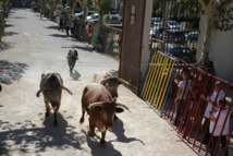 Quand les portes sont ouvertes, les moustiques rentrent ! Quand les portes sont ouvertes, les moustiques rentrent !