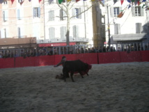 Trophée de la Place du Forum... Trophée de la Place du Forum...