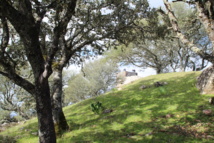 Reseña du stage d'immersion Reseña du stage d'immersion