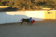 Reseña du stage d'immersion Reseña du stage d'immersion