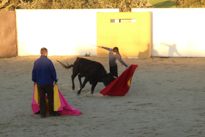 Reseña du stage d'immersion Reseña du stage d'immersion