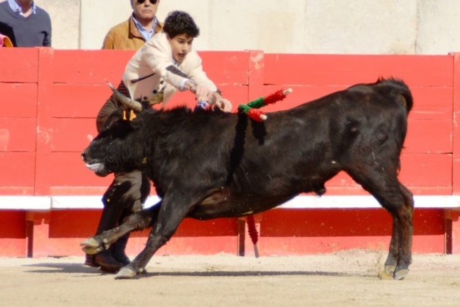 Une Primavera fructueuse pour les élèves du CFT Une Primavera fructueuse pour les élèves du CFT