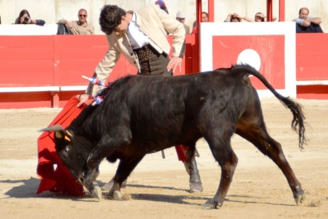 Une Primavera fructueuse pour les élèves du CFT Une Primavera fructueuse pour les élèves du CFT