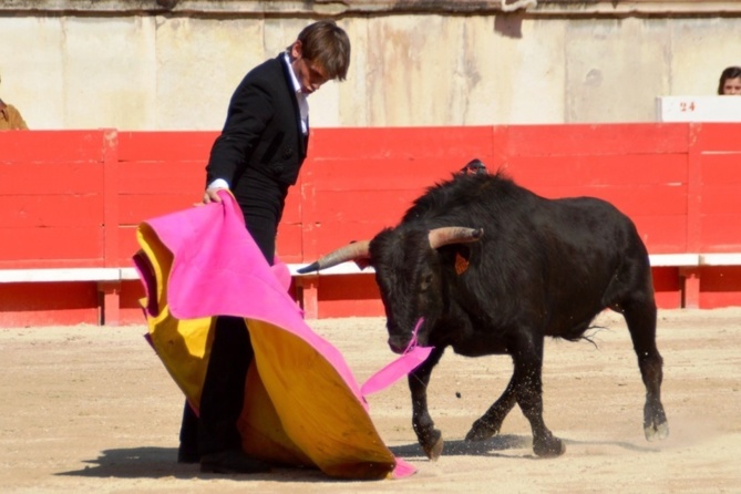 Une Primavera fructueuse pour les élèves du CFT Une Primavera fructueuse pour les élèves du CFT