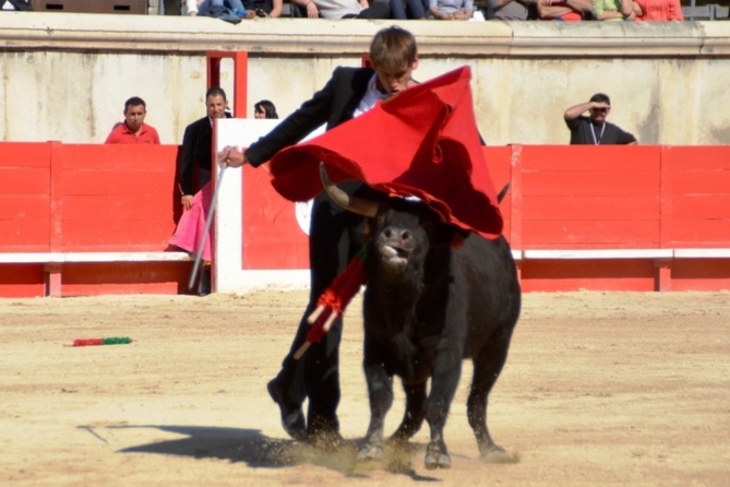 Une Primavera fructueuse pour les élèves du CFT Une Primavera fructueuse pour les élèves du CFT