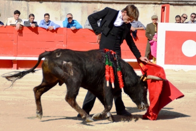Une Primavera fructueuse pour les élèves du CFT Une Primavera fructueuse pour les élèves du CFT